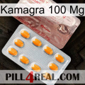 Kamagra 100 Mg new13